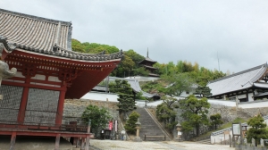 西国寺金堂と三重塔