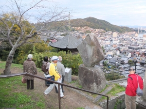 天寧寺三重塔を望む